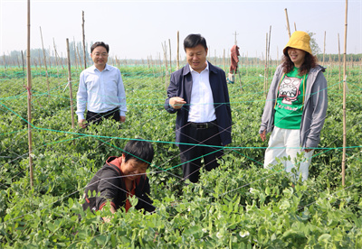 4月20日上午縣長(zhǎng)李紅民到安良鎮(zhèn)調(diào)研消防安全、農(nóng)業(yè)特色產(chǎn)業(yè)發(fā)展等工作2.jpg